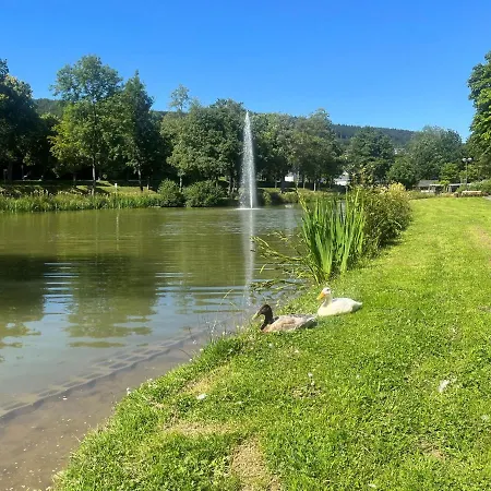 Haus Schmitten Διαμέρισμα Βίντερμπεργκ