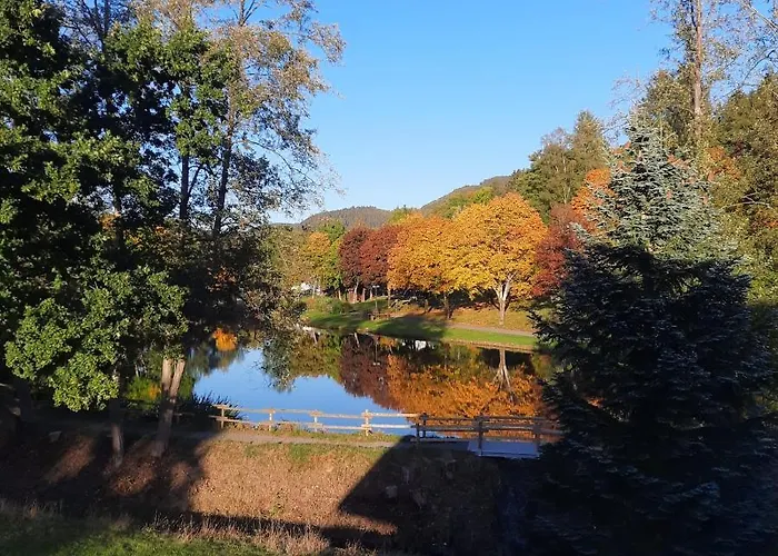 Daire Haus Schmitten *