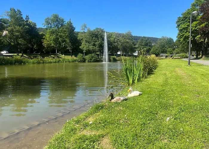 Haus Schmitten Daire Winterberg