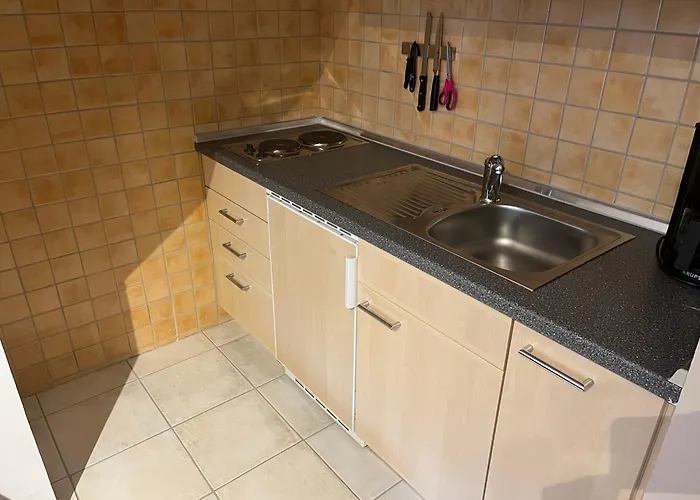 Haus Schmitten Daire